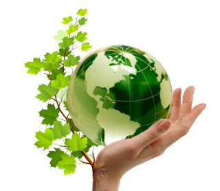 Міжнародний день здоров’я рослин - 12 травня