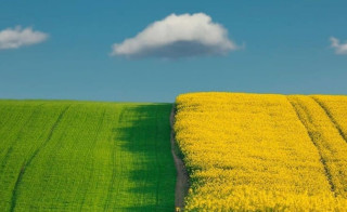 Платникам плати за землю щодо змін граничного розміру орендної плати