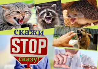 Заходи профілактики та захисту від сказу